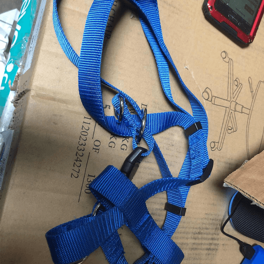 Pet Adjustable Harness, Blue -1